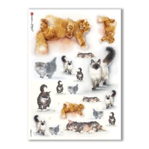 ANIMALS-0037. Animals Rice Paper for decoupage.