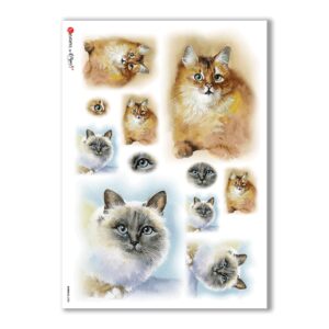 ANIMALS-0038. Animals Rice Paper for decoupage.