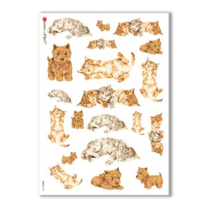 ANIMALS-0043. Animals Rice Paper for decoupage.
