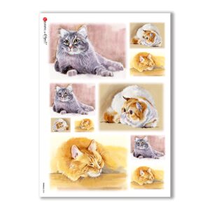 ANIMALS-0045. Animals Rice Paper for decoupage.