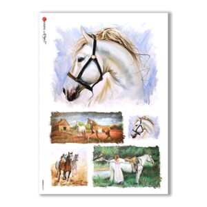 ANIMALS-0072. Animals Rice Paper for decoupage.