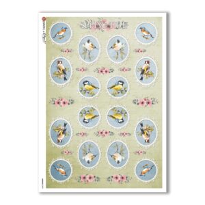 ANIMALS-0093. Animals Rice Paper for decoupage.