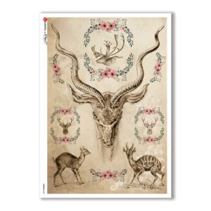 ANIMALS-0095. Animals Rice Paper for decoupage.