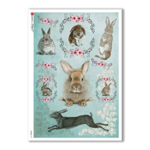 ANIMALS-0096. Animals Rice Paper for decoupage.