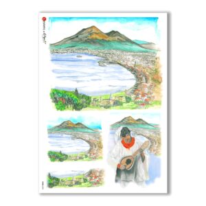 VIEWS-0005. Landscape Rice paper  for the decoupage.