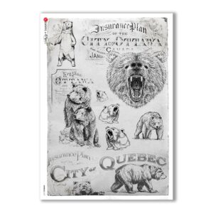 ANIMALS-0107. Animals Rice Paper for decoupage.