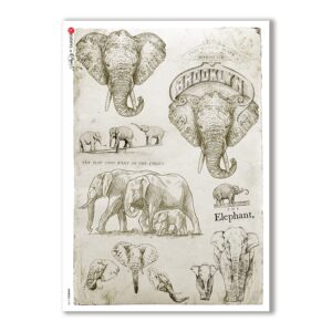 ANIMALS-0108. Animals Rice Paper for decoupage.