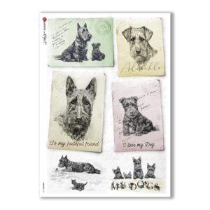 ANIMALS-0124. Animals Rice Paper for decoupage.
