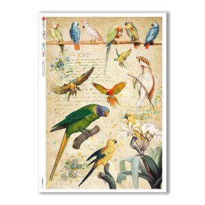 ANIMALS-0131. Animals Rice Paper for decoupage.