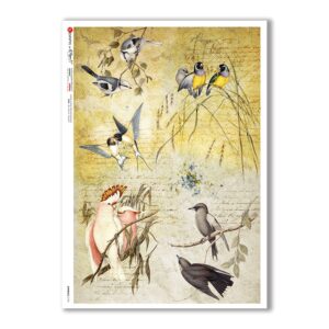 ANIMALS-0134. Animals Rice Paper for decoupage.