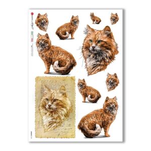 ANIMALS-0156. Animals Rice Paper for decoupage.