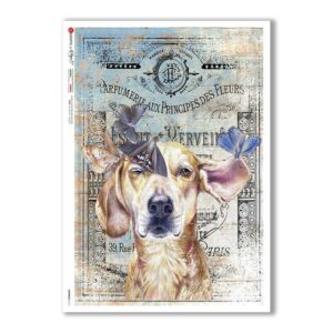 ANIMALS-0161. Animals Rice Paper for decoupage.