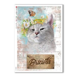 ANIMALS-0163. Animals Rice Paper for decoupage.