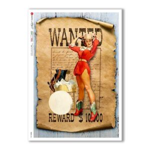 PINUP-0026. Pin-Up Rice Paper for decoupage.