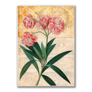 GF-FLOWERS-032. Rice paper large format