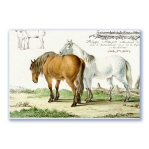 GF-ANIMALI-039. Rice paper large format