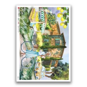 SCENE-0142. Pictorial Rice Paper for decoupage.