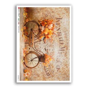 OLD-PHOTOS-0115. Victorian Rice Paper for decoupage.